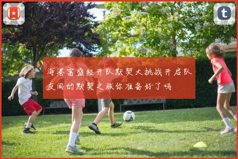 海港富盛经开队默契大挑战开启队友间的默契之旅你准备好了吗